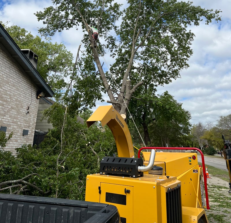 importance of land clearing in Austin Texas